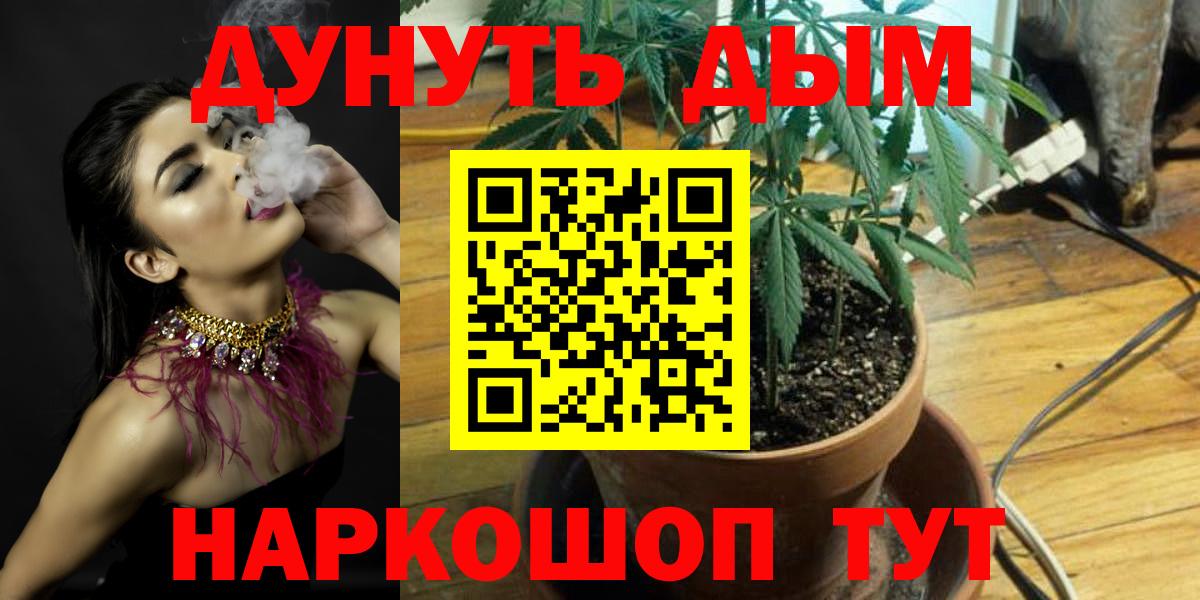 Шишки марихуана индика  Шишки марихуана VHQ  Вход с VPN  Марихуана планчик  Будённовск 